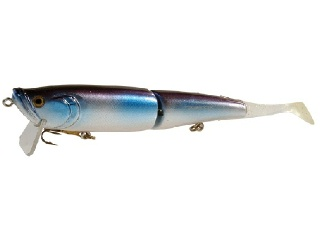 0001_Royal Mackerel.jpg